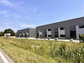 Plus de détails pour Flex à vendre