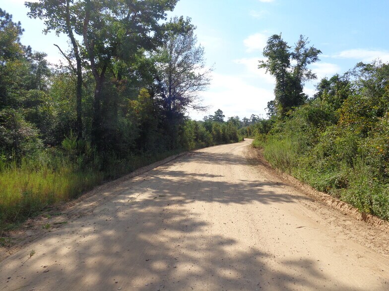 Hightower Rd, Vernon, FL for sale - Interior Photo - Image 2 of 7