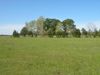 More details for TBD Louisiana 121, Hineston, LA - Land for Sale
