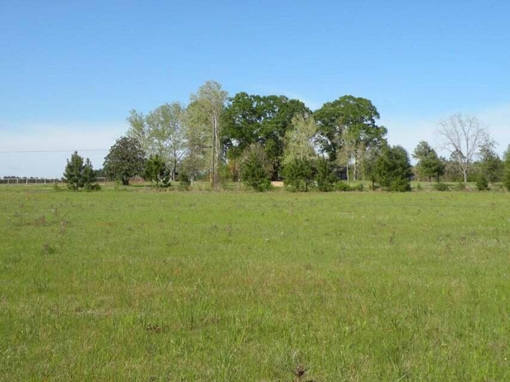 TBD Louisiana 121, Hineston, LA for sale Primary Photo- Image 1 of 3