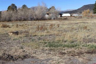 More details for 121 Bonnaville dr, South Fork, CO - Land for Sale