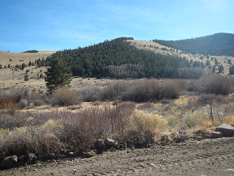 SAN FRANCISCO CREEK Rd, Del Norte, CO à vendre - Autre - Image 1 de 1