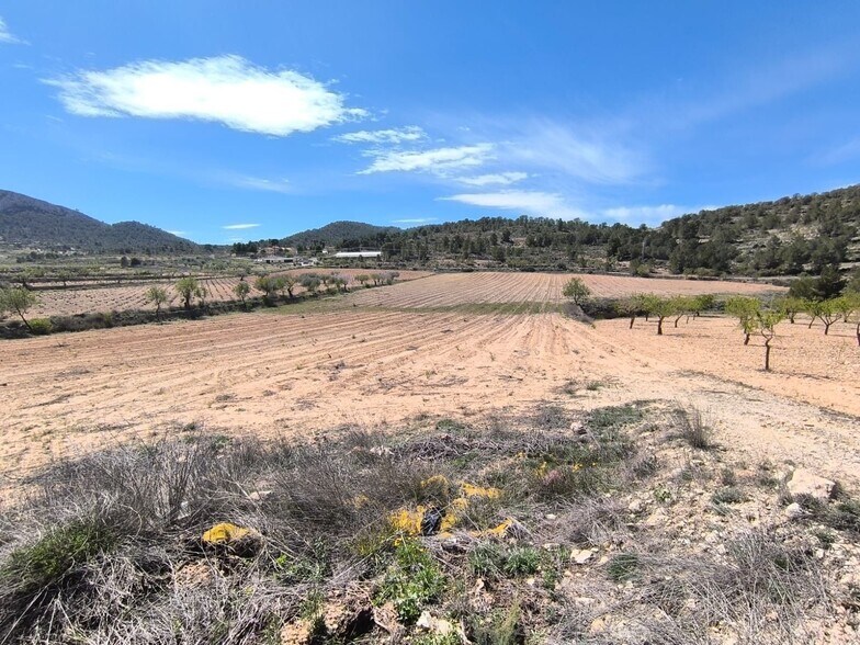 Terrain dans Jumilla, Murcia à vendre - Aérien - Image 3 de 4
