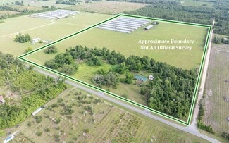 More details for 1175 SW County Road 351, Mayo, FL - Land for Sale