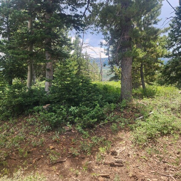 1272 Aspen Dr, Brian Head, UT à vendre - Photo du bâtiment - Image 2 de 10