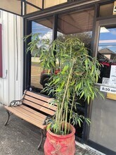 502 Twin Bridges Rd, Alexandria, LA for lease Interior Photo- Image 2 of 33