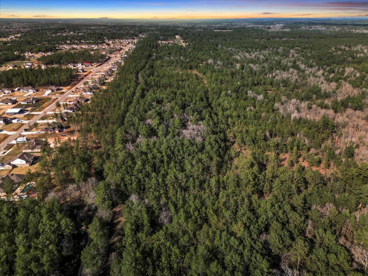 A0186 DEASE CONLEY TRACT 12 ACRES 20, Conroe, TX à vendre Aérien- Image 1 de 9