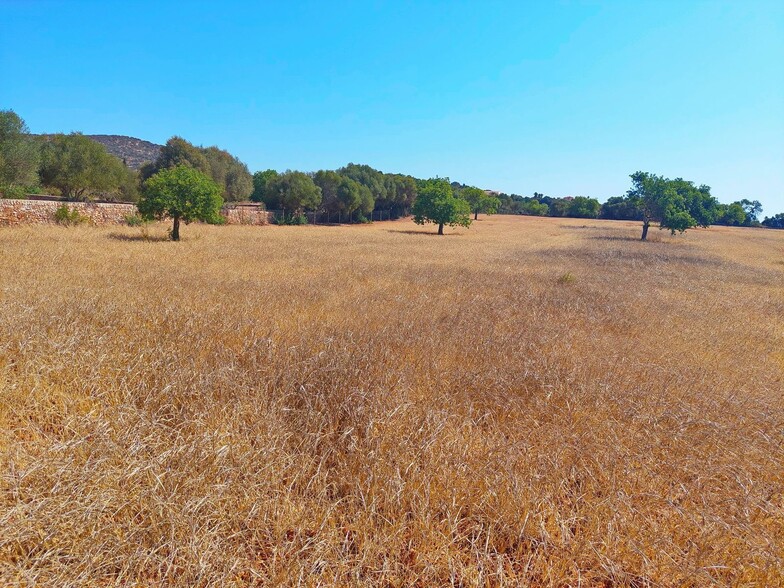 Land in Santanyí, Islas Baleares for sale - Building Photo - Image 3 of 5
