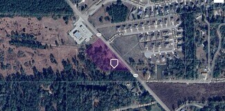 More details for 42763 Highway 445, Ponchatoula, LA - Land for Sale