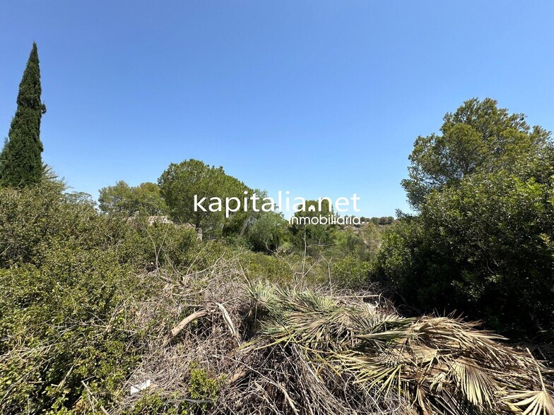 Land in Alberic, Valencia for sale - Primary Photo - Image 2 of 4
