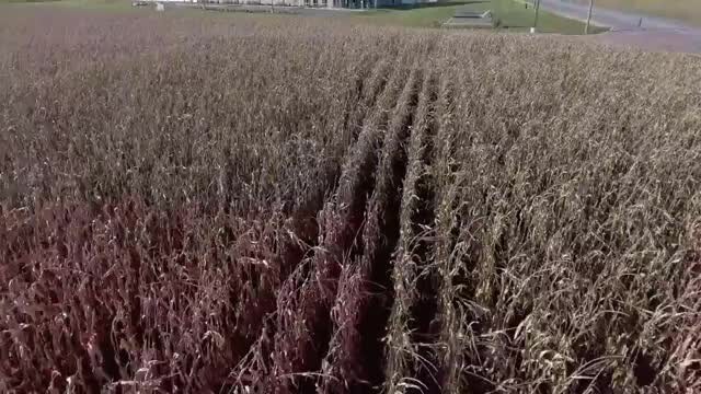 CR 100 US 421, Delphi, IN for sale - Commercial Listing Video - Image 2 of 13