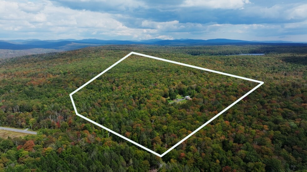 480 Breezy Hill Rd, Parksville, NY for sale - Aerial - Image 2 of 2