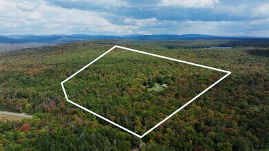 480 Breezy Hill Rd, Parksville, NY - AERIAL map view