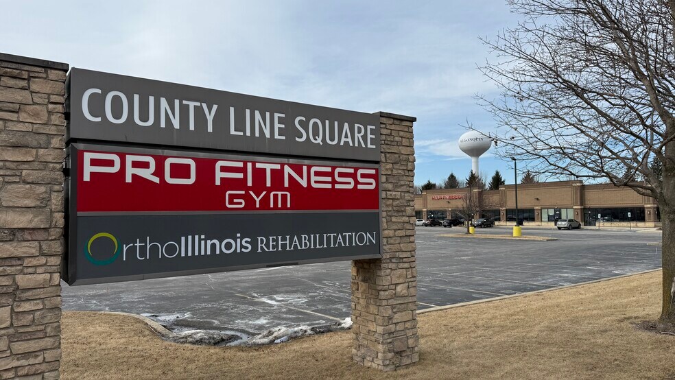 2172-2182 Lake Cook Rd, Algonquin, IL à louer - Photo du bâtiment - Image 2 de 10