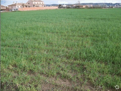 Calle Patrocinio, 1, Talavera de la Reina, Toledo à vendre - Photo du bâtiment - Image 2 de 3