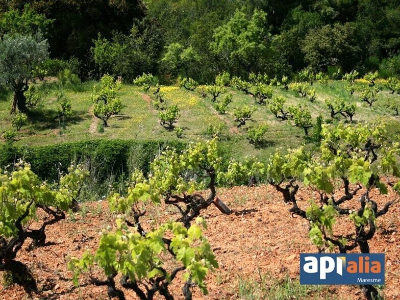 Land in Montornès del Vallès, Barcelona for sale - Other - Image 3 of 6