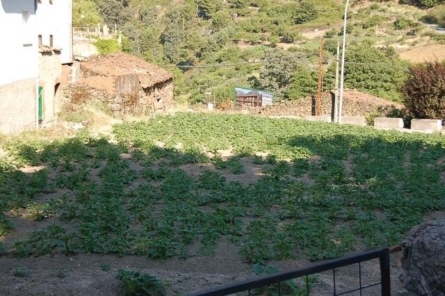 Land in Mijares, Ávila for sale Floor Plan- Image 1 of 2