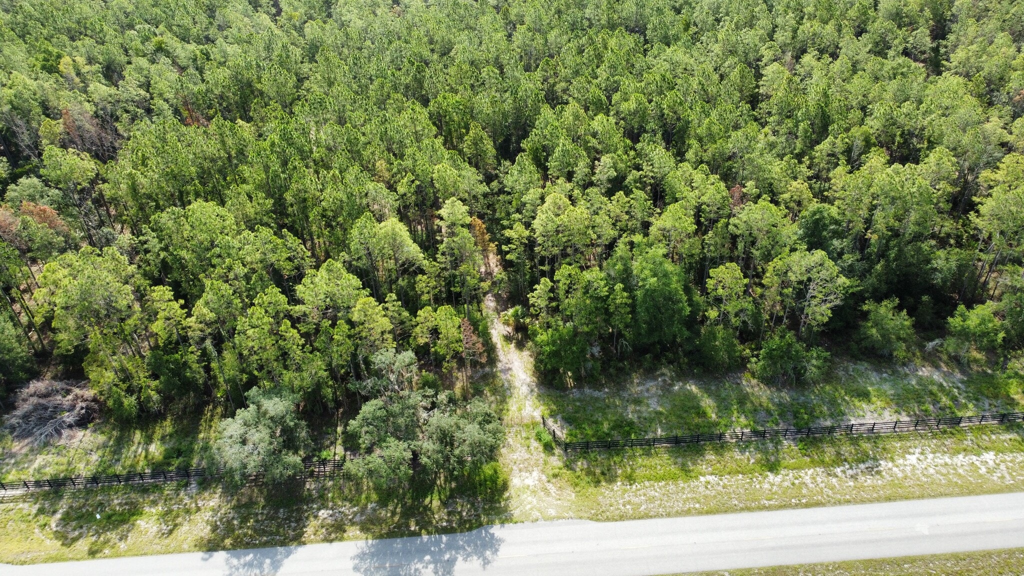 NE 353 Hwy, Cross City, FL for sale Building Photo- Image 1 of 7