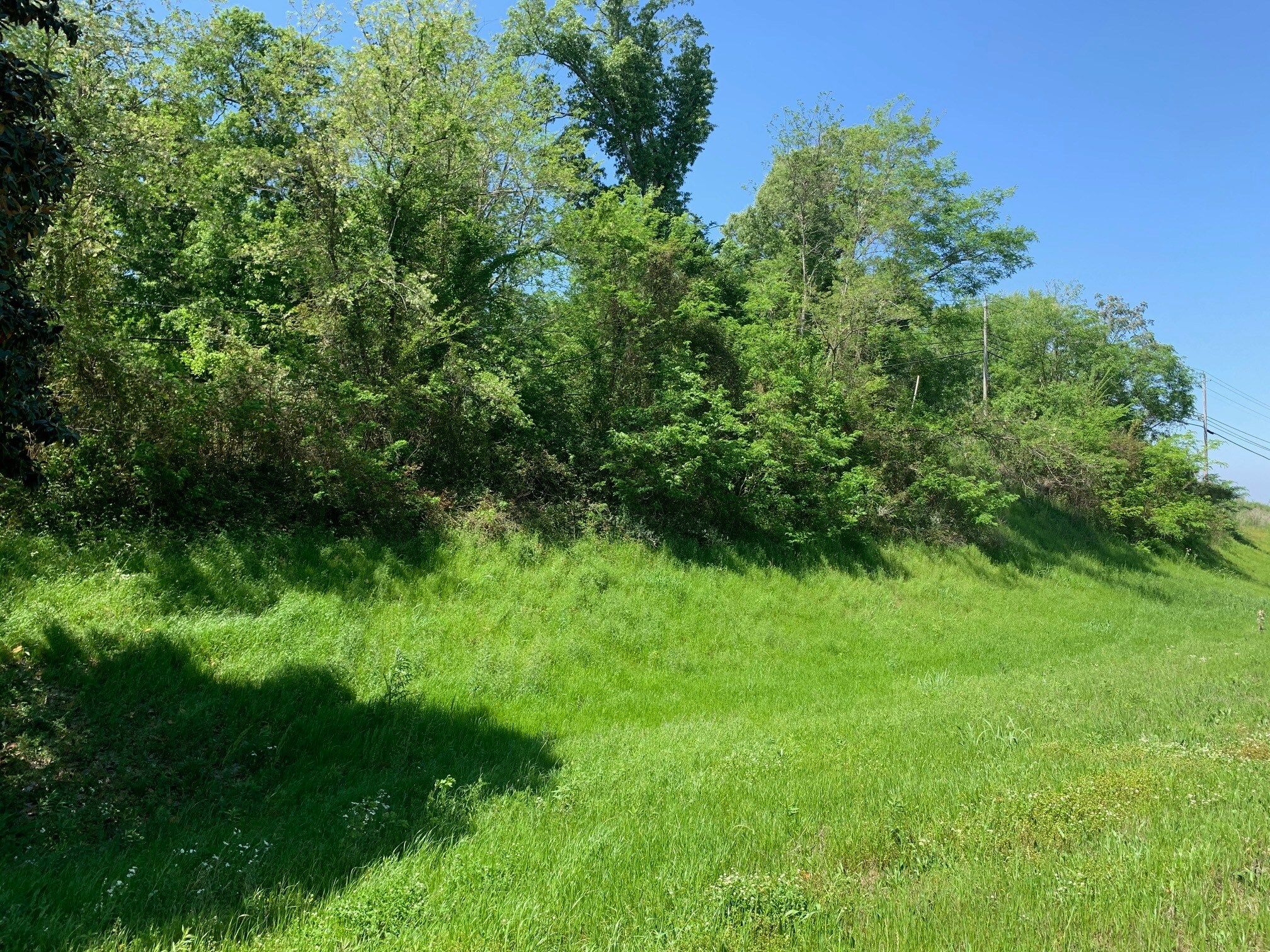 F-1 Hedges Development Highway 61, Natchez, MS for sale Building Photo- Image 1 of 5