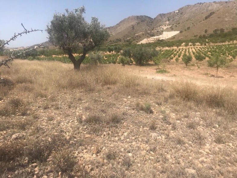 Poste, 165, Abanilla, Murcia for sale - Site Plan - Image 3 of 11