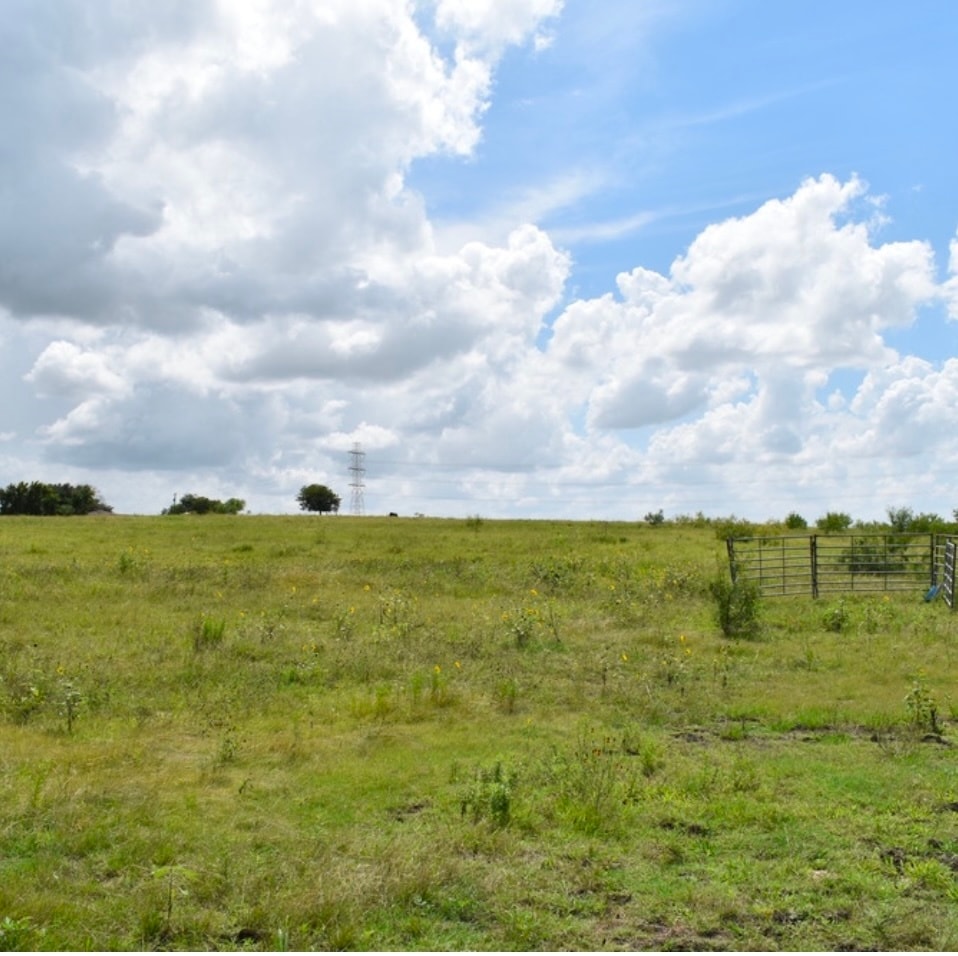 Melber, Manor, TX for sale Primary Photo- Image 1 of 5