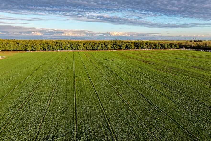 16500 Road 152, Tulare, CA à vendre - Photo du bâtiment - Image 2 de 42