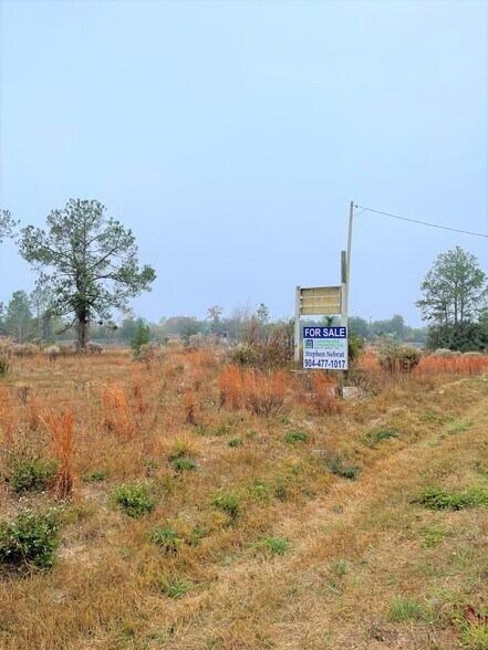 6969 State Road 21, Keystone Heights, FL à vendre - Photo du bâtiment - Image 2 de 3