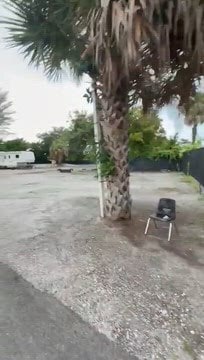 1155 Military Trl, West Palm Beach, FL à louer - Vidéo sur l’inscription commerciale - Image 1 de 1