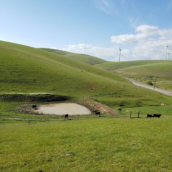 13749 Altamont Pass Rd, Livermore, CA for sale - Building Photo - Image 3 of 29