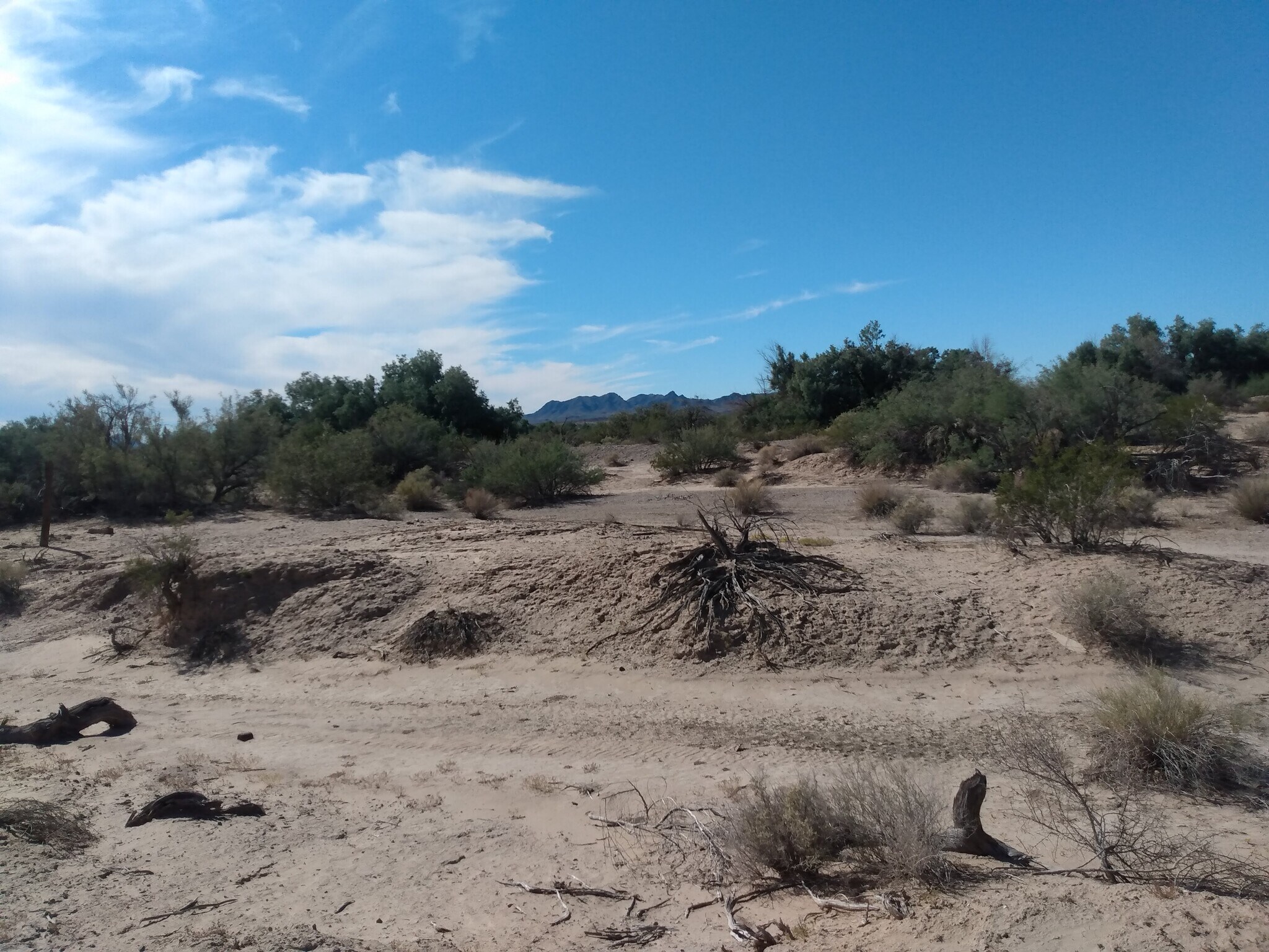 43331 AZ-72 Hwy, Bouse, AZ à vendre Photo principale- Image 1 de 4