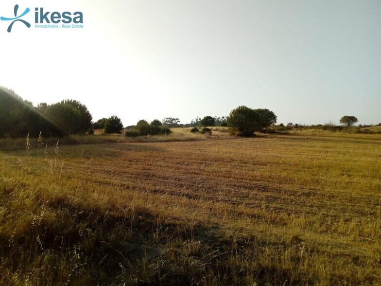 Land in Lepe, Huelva for sale - Aerial - Image 3 of 3