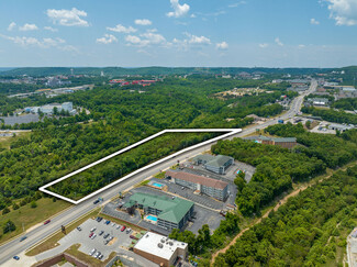 Plus de détails pour 2315-2345 Shepherd Of The Hills Expressway, Branson, MO - Terrain à vendre