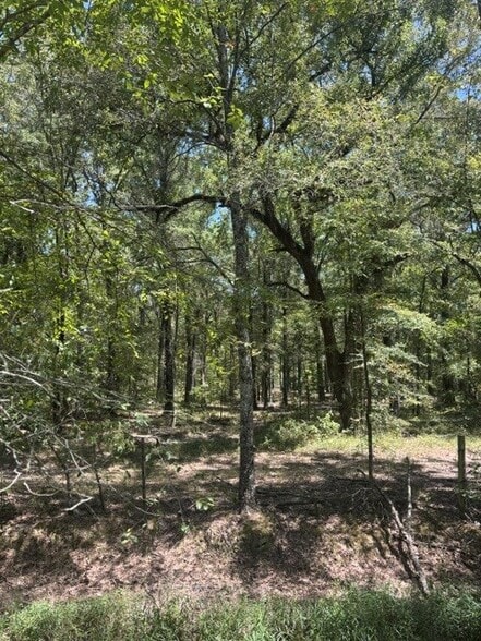 Elm Grove, Elm Grove, LA à vendre - Photo du bâtiment - Image 3 de 3