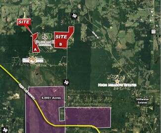 Plus de détails pour 4430 S FM 1486, Montgomery, TX - Terrain à vendre