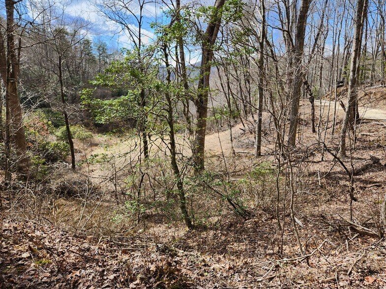 00 Camp Branch Rd, Topton, NC à vendre - Photo du bâtiment - Image 2 de 7