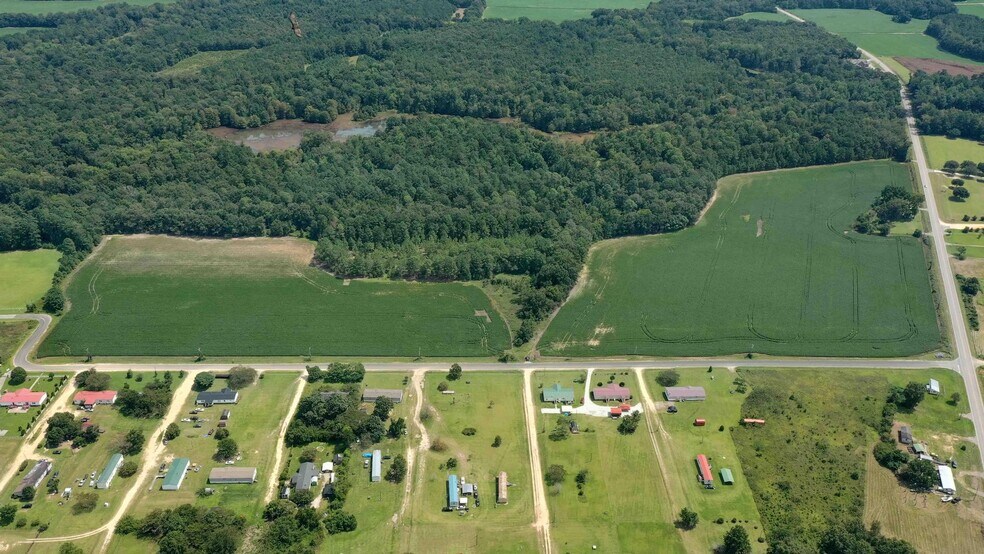 Resort St. and 6 hwy, Santee, SC à vendre - Photo principale - Image 2 de 7