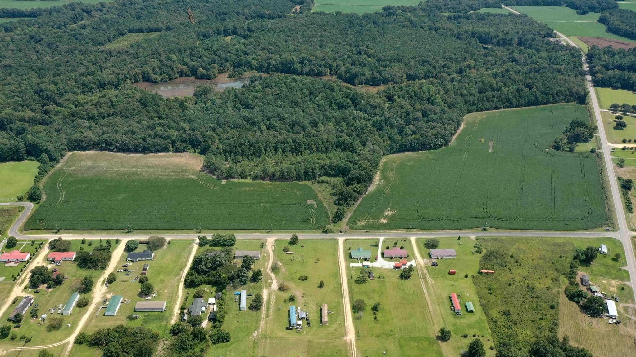 Resort St. and 6 hwy, Santee, SC for sale Primary Photo- Image 1 of 8