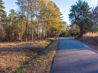 Plus de détails pour 0 Marshall Tucker Rd, Pauline, SC - Terrain à vendre