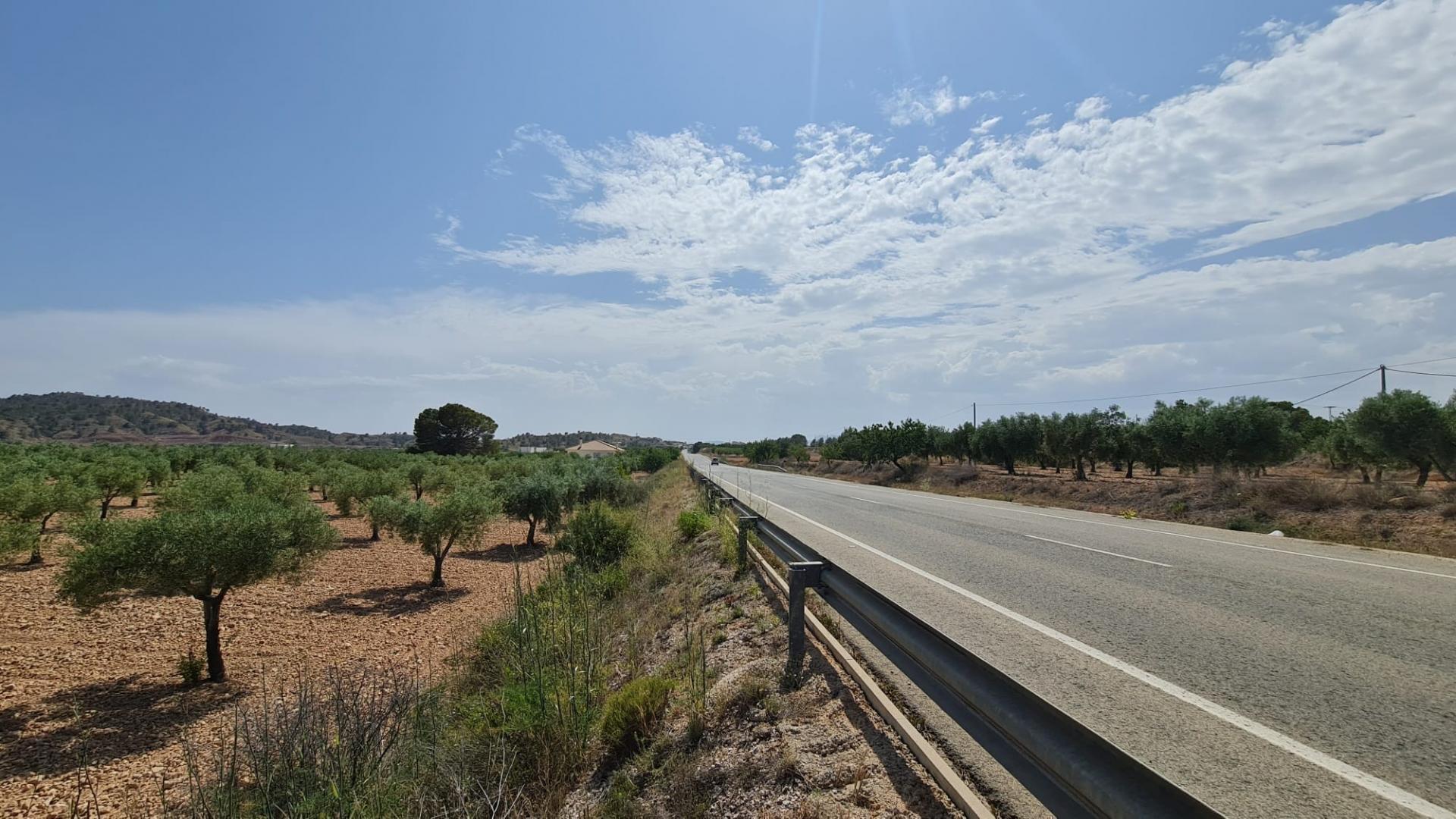 Terrain dans Abanilla, Murcia à vendre Photo principale- Image 1 de 9