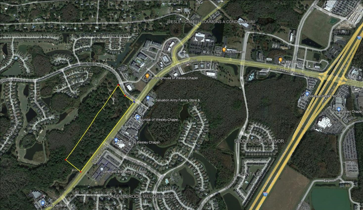 Wesley Chapel Boulevard, Wesley Chapel, FL for sale Aerial- Image 1 of 2