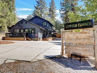 Plus de détails pour 25870 Highway 243, Idyllwild, CA - Vente au détail à vendre