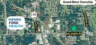 Plus de détails pour 5043 Baldwin Rd, Holly, MI - Terrain à vendre