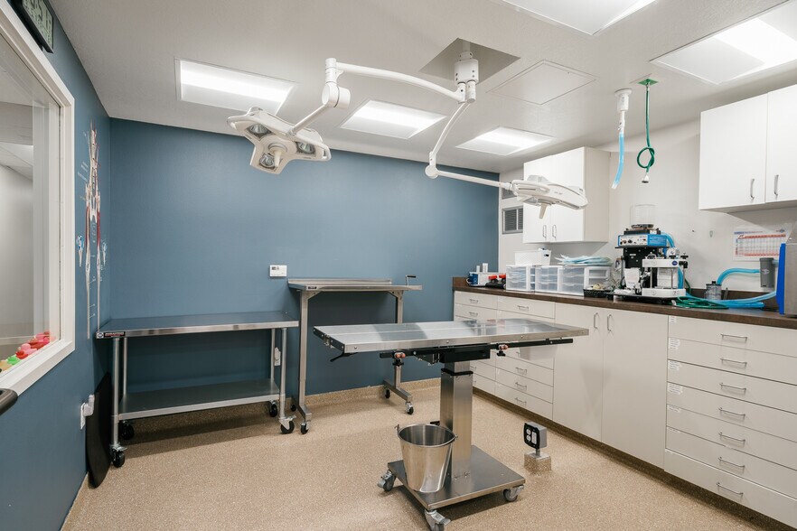 6400 4th St N, Saint Petersburg, FL à louer - Photo du bâtiment - Image 2 de 19