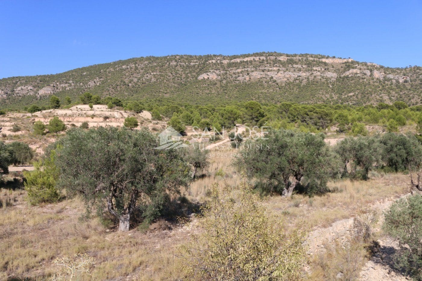 Terrain dans MONÒVER, Alicante à vendre Photo principale- Image 1 de 18