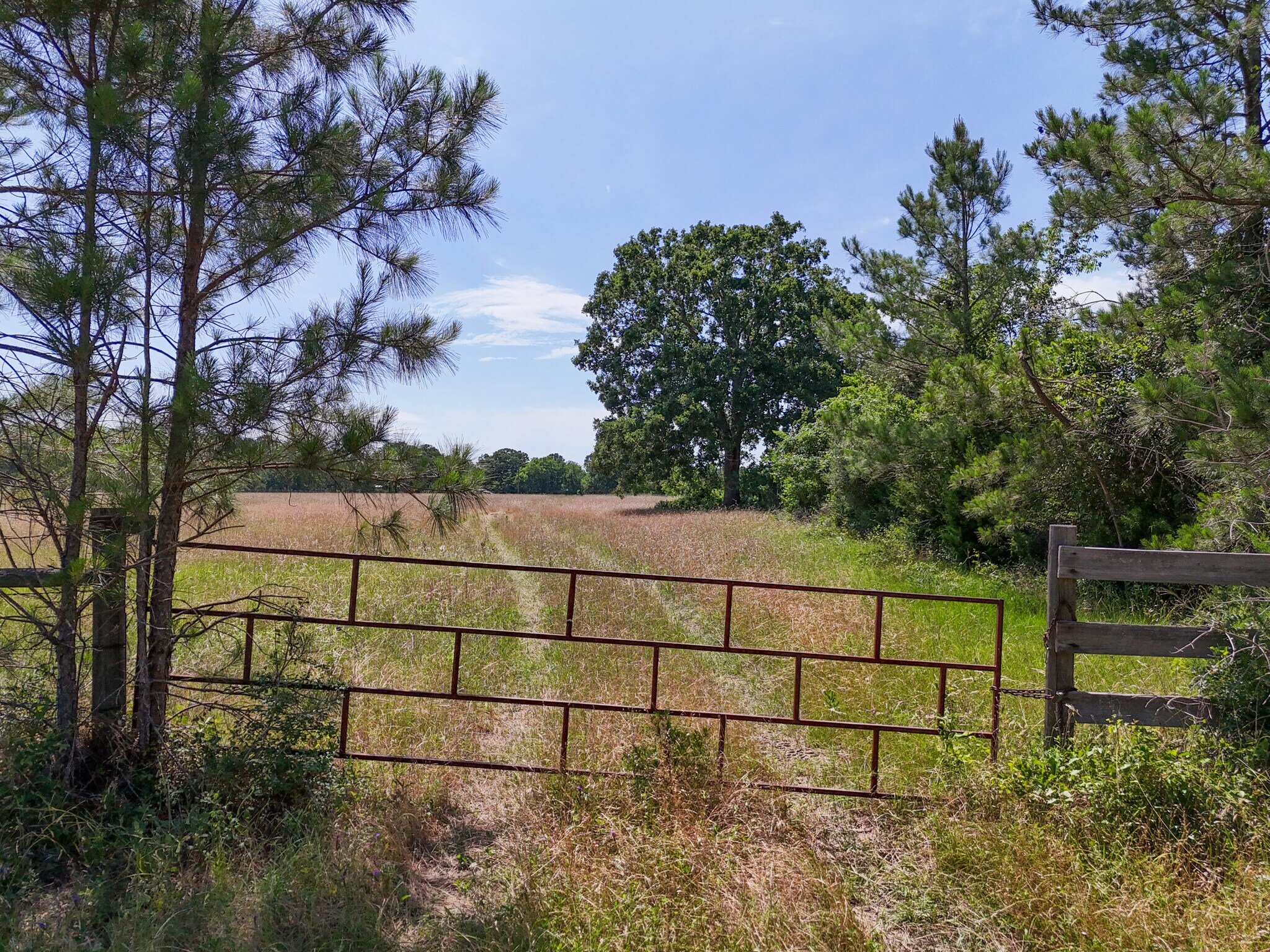 20435 FM 1791, Richards, TX à vendre Photo principale- Image 1 de 20