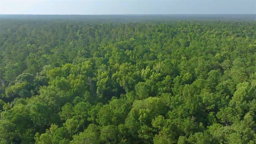 7633 Thomaston Rd, Macon-Bibb, GA à vendre - Vidéo sur l’inscription commerciale - Image 2 de 8