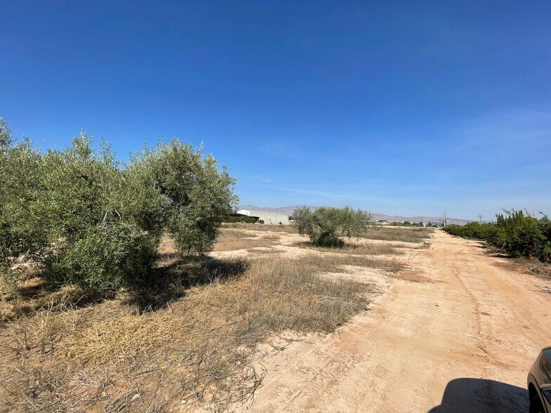 Terrain dans Crevillent, Alicante à vendre - Aérien - Image 2 de 3