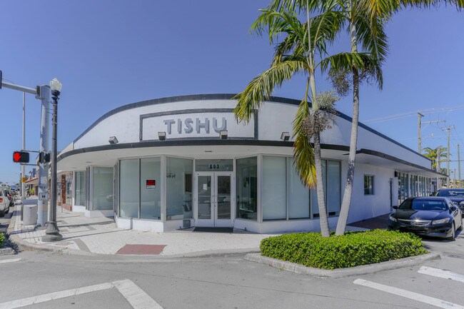 Plus de détails pour 689-693 NE 125th St, North Miami, FL - Commerce de détail à louer