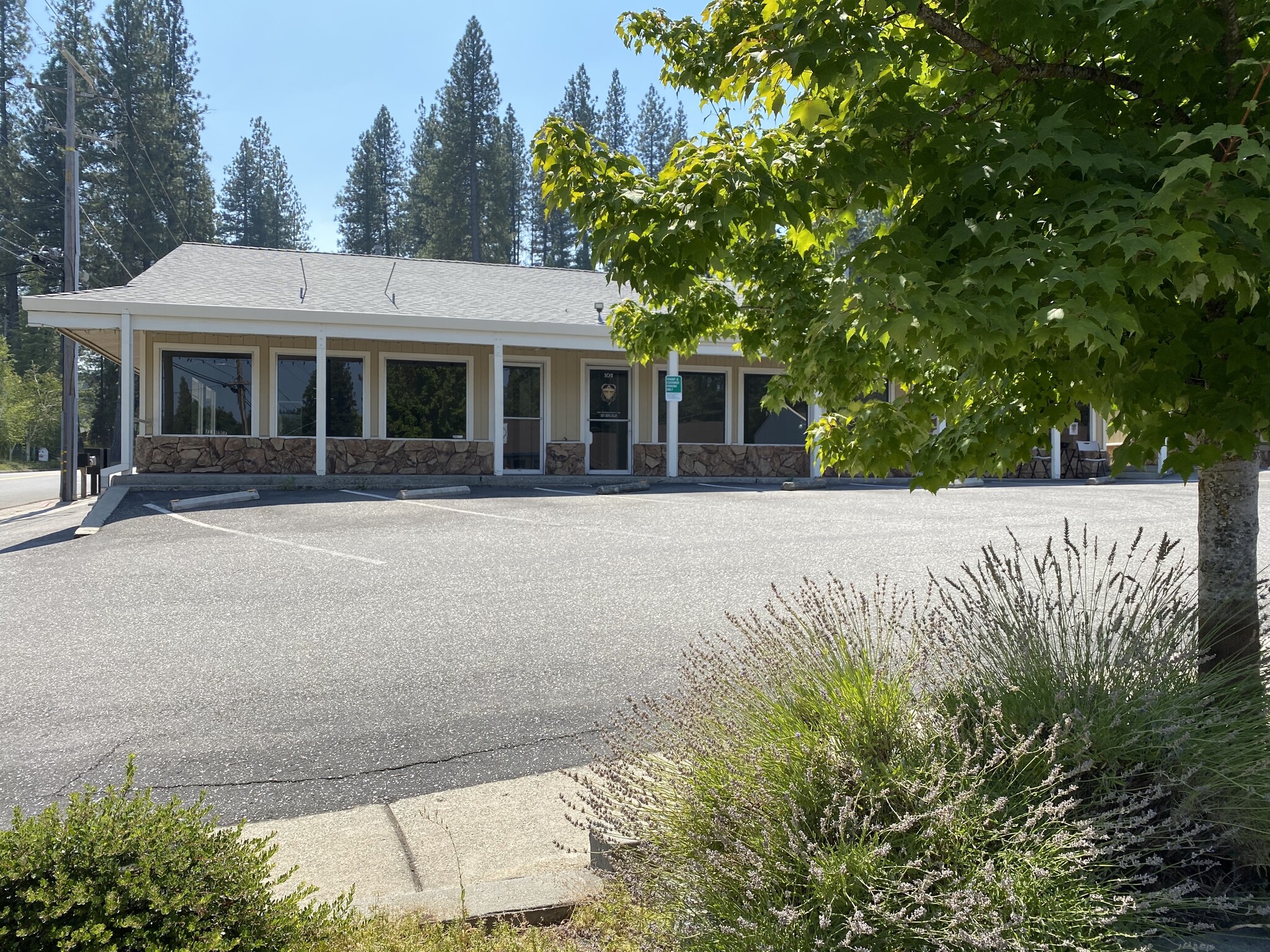 101-109 Argall Way, Nevada City, CA à vendre Photo du bâtiment- Image 1 de 1