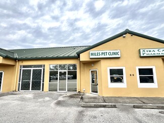 Plus de détails pour 6520 US Hwy 301 Hwy, Riverview, FL - Bureau à vendre